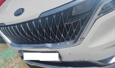 2021 Kia Carnival KNANE81BBMS022169 VIN:KNANE81BBMS022169