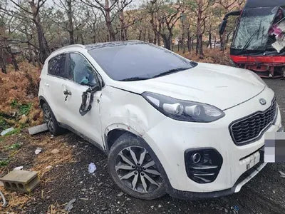 2016 Kia Sportage KNAPN813BGK117019 VIN:KNAPN813BGK117019