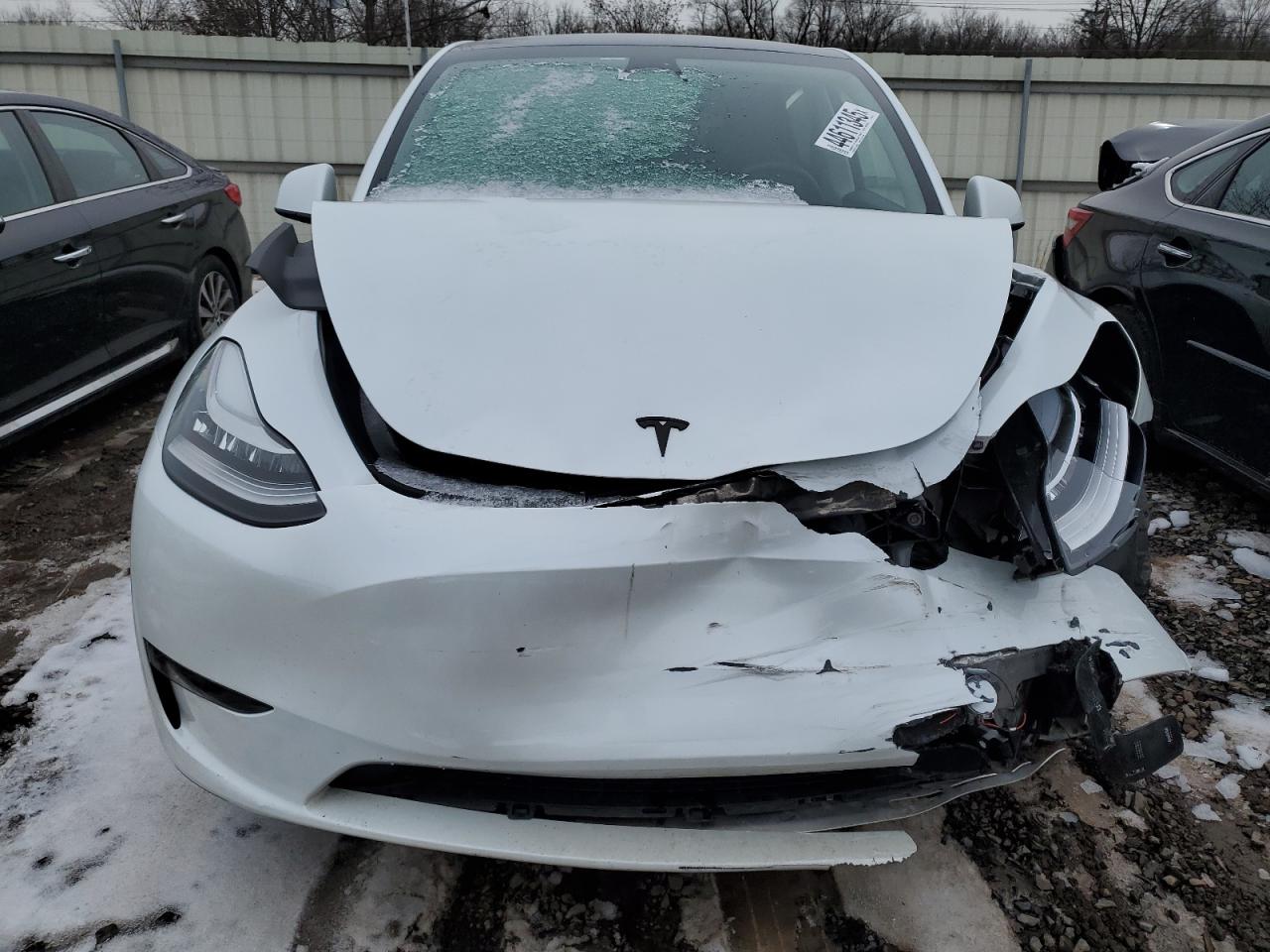 2023 TESLA MODEL Y  VIN:7SAYGDEE7PA051775