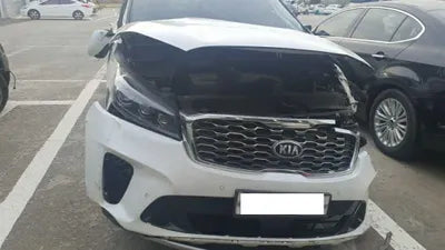 2020 Kia Sorento KNAPH81BDLA635607 VIN:KNAPH81BDLA635607