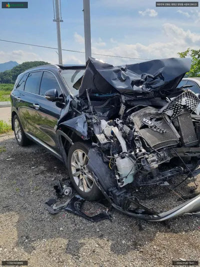 2017 Kia Sorento KNAPH81ABHA313653 VIN:KNAPH81ABHA313653