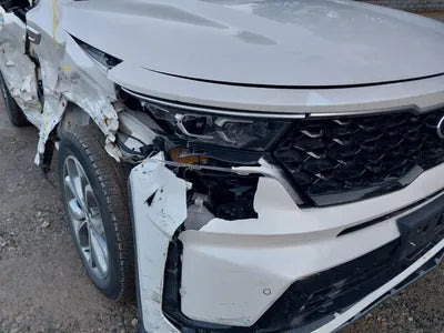 2021 Kia Sorento KNARM81GBMA006272 VIN:KNARM81GBMA006272