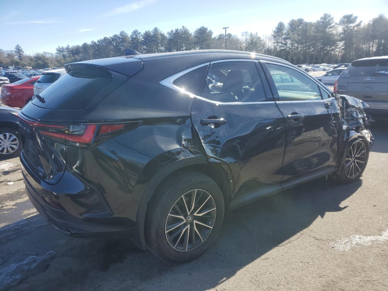 2024 LEXUS NX 350 BASE VIN:2T2AGCEZ2RC046341