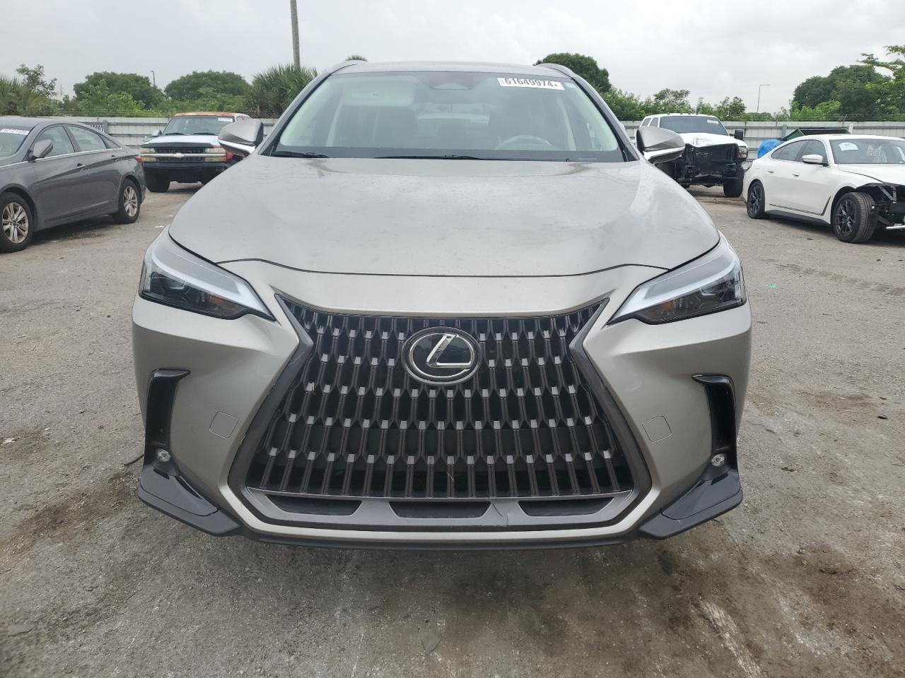 2024 LEXUS NX 250 BASE VIN:2T2ADCAZ0RC007388