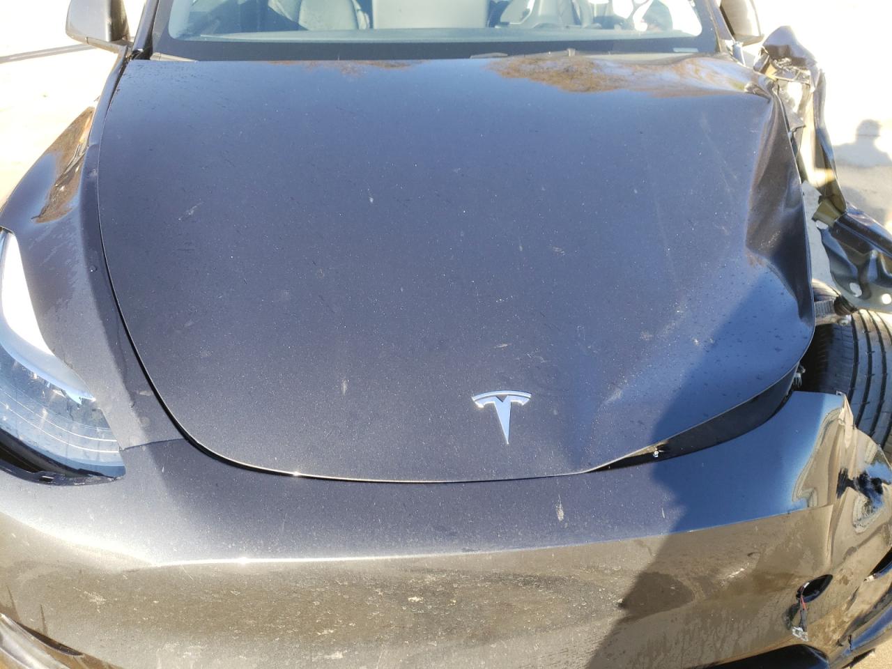 2024 TESLA MODEL Y  VIN:7SAYGAEE7RF004234