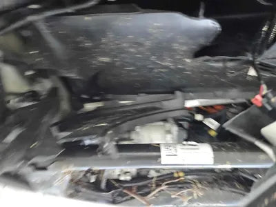 2022 Tesla Model 3 5YJ3E1EBXNF150396 VIN:5YJ3E1EBXNF150396