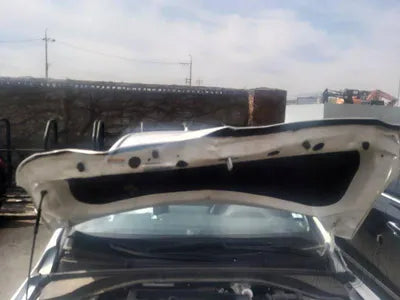 2019 Hyundai Ioniq KMHC851CGLU196633 VIN:KMHC851CGLU196633