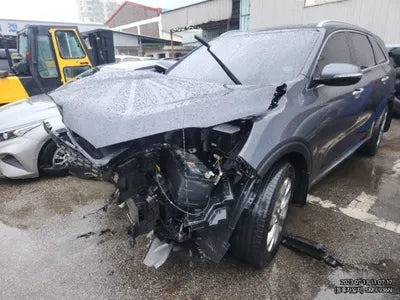 2019 Kia Sorento KNAPS81BBKA545743 VIN:KNAPS81BBKA545743