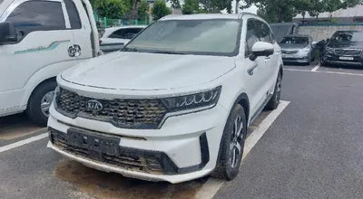 2021 Kia Sorento KNARH81BHMA019022 VIN:KNARH81BHMA019022