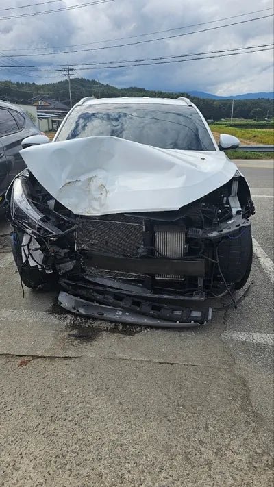 2019 Hyundai Tucson KMHJ581ADKU058096 VIN:KMHJ581ADKU058096