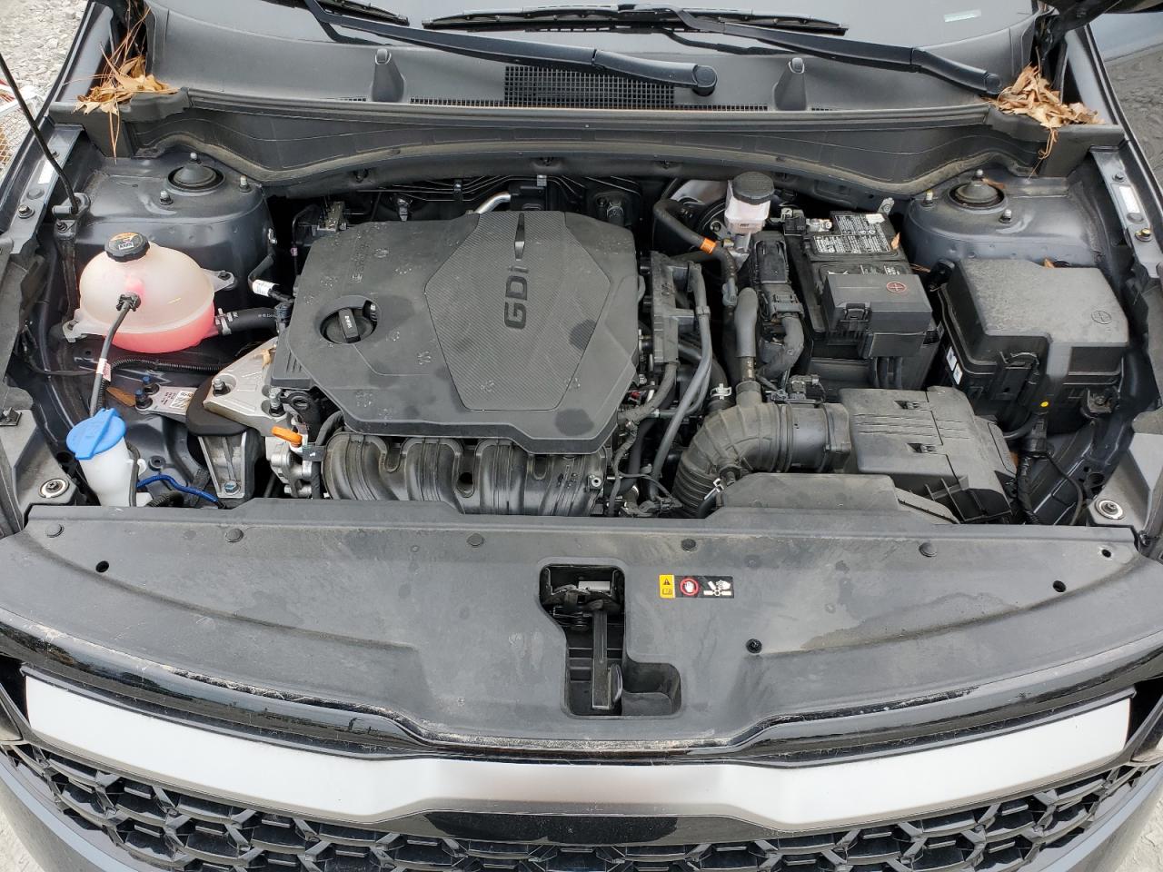 2023 KIA SPORTAGE X LINE VIN:5XYK6CAF9PG051190
