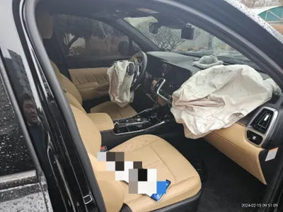 2022 Kia Sorento KNARL81GDNA106880 VIN:KNARL81GDNA106880
