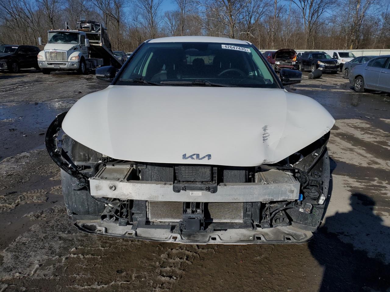 2022 KIA EV6 LIGHT VIN:KNDC3DLC5N5079063