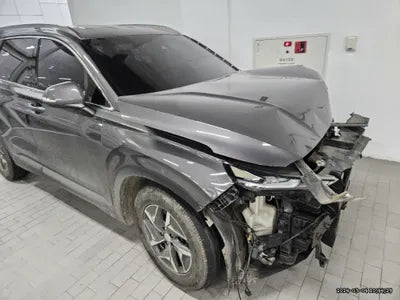 2019 Hyundai Santa FE KMHS281ABKU146780 VIN:KMHS281ABKU146780