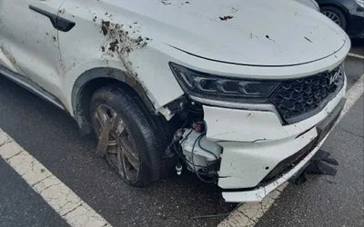 2023 Kia Sorento KNARL81GBPA135233 VIN:KNARL81GBPA135233