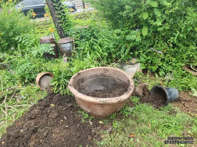 2020 BMW 740 WBA7T410XLCE40015 VIN:WBA7T410XLCE40015