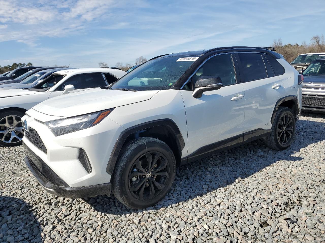 2023 TOYOTA RAV4 XSE VIN:2T3E6RFV6PW043193
