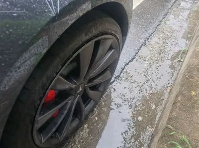 2020 Tesla Model 3 5YJ3E1EC9LF756312 VIN:5YJ3E1EC9LF756312