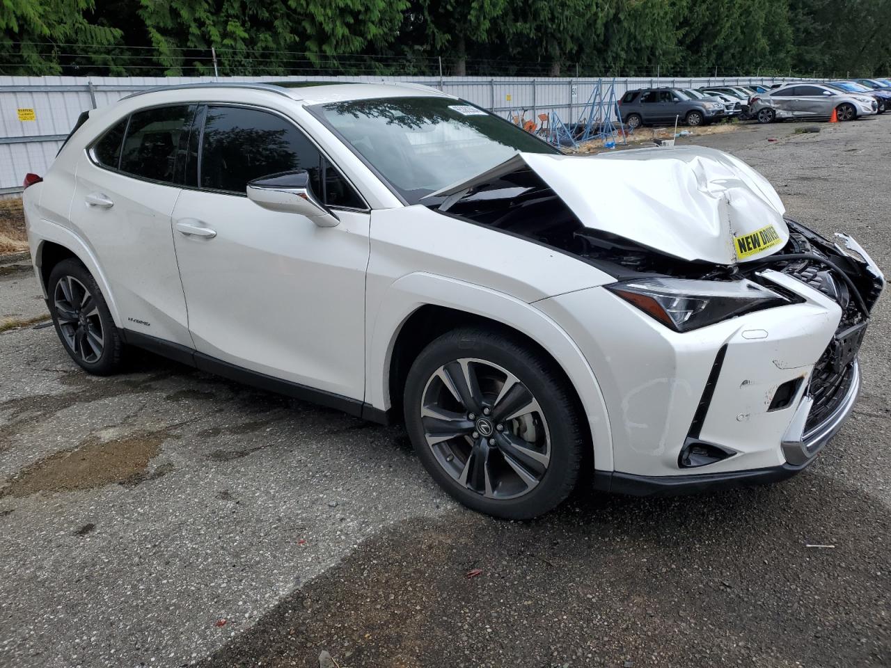 2022 LEXUS UX 250H BASE VIN:JTHL9JBH1N2057717