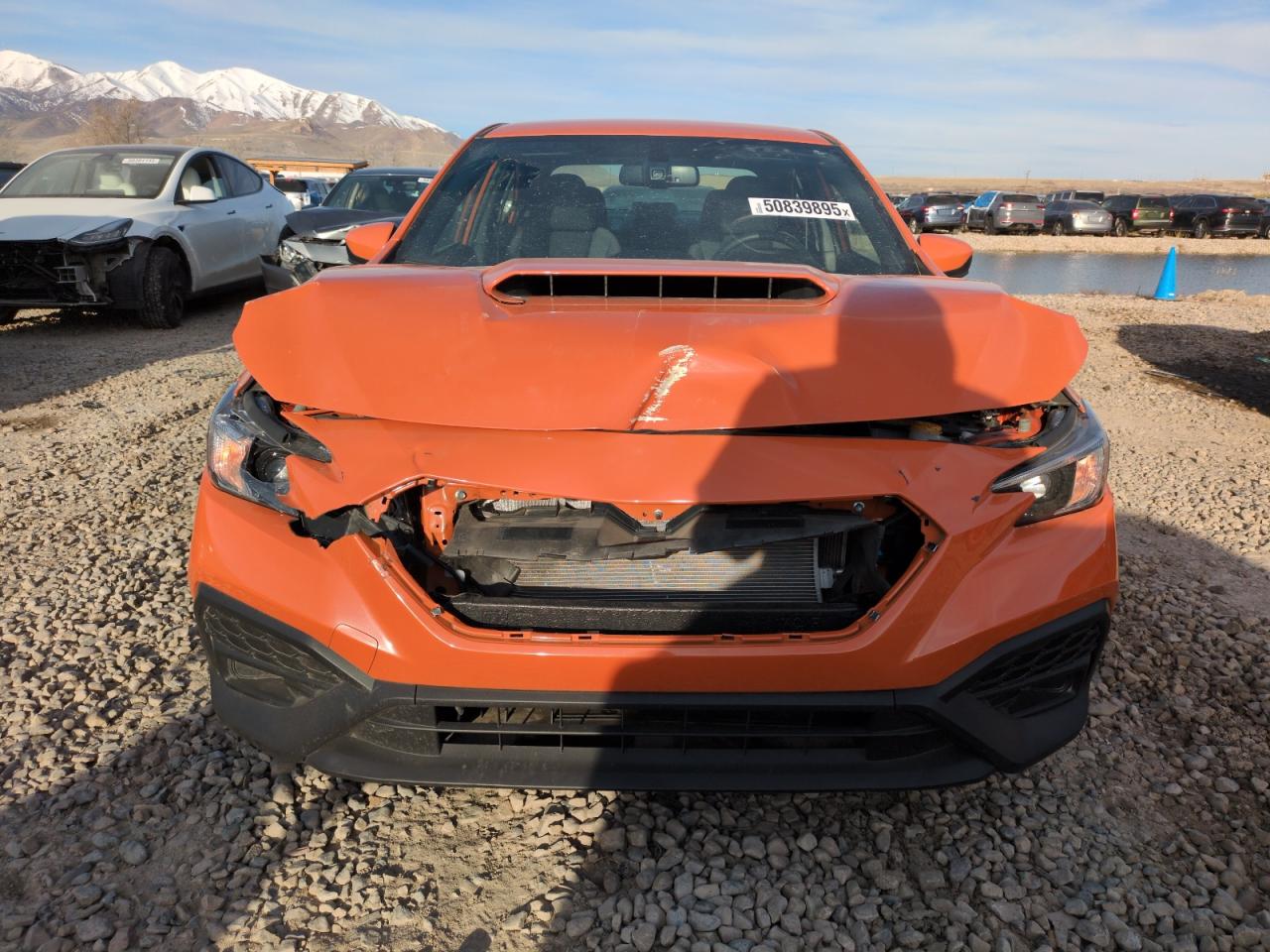 2023 SUBARU WRX  VIN:JF1VBAA61P9817482