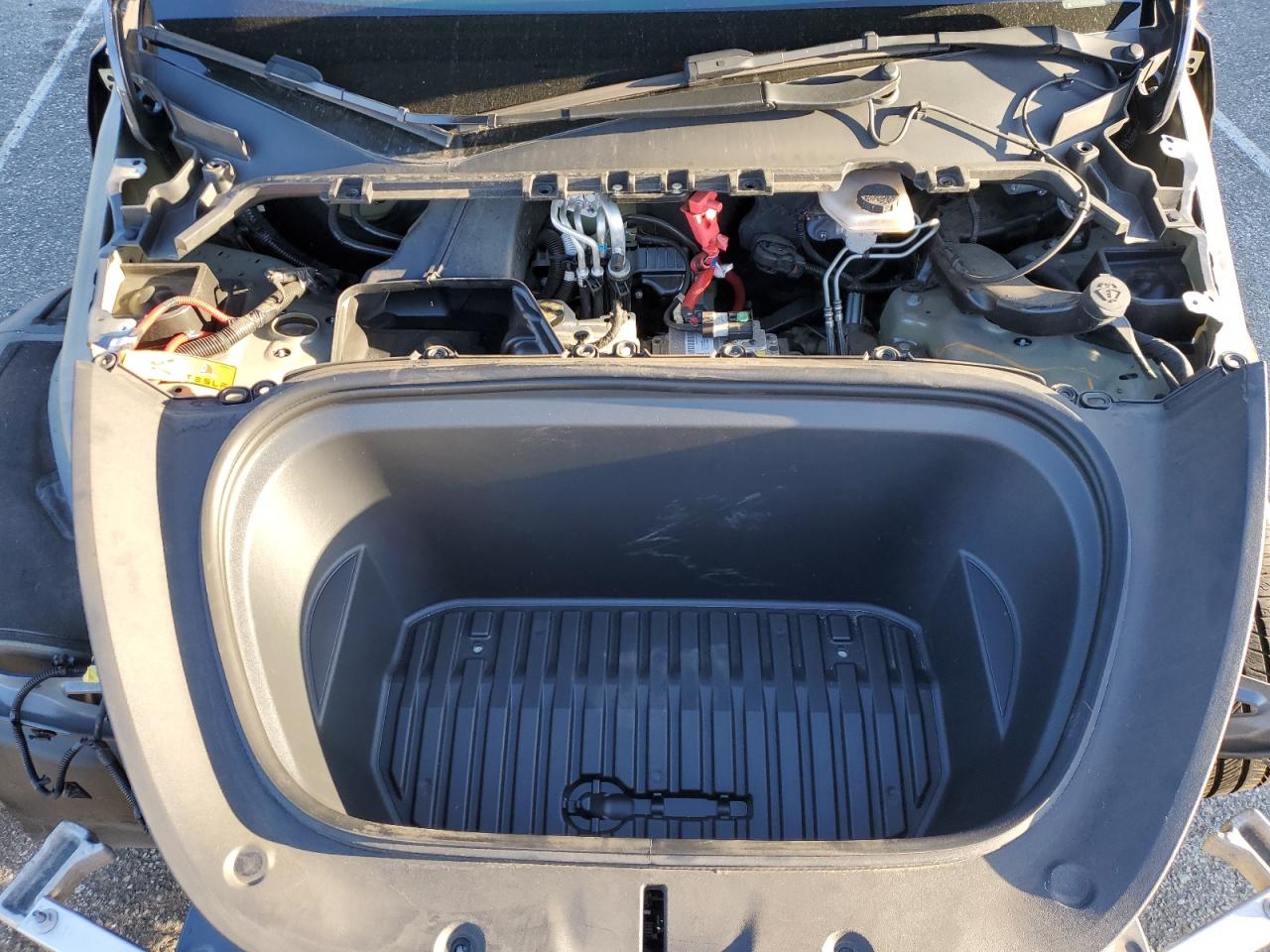 2022 TESLA MODEL Y  VIN:7SAYGDEE5NA022384