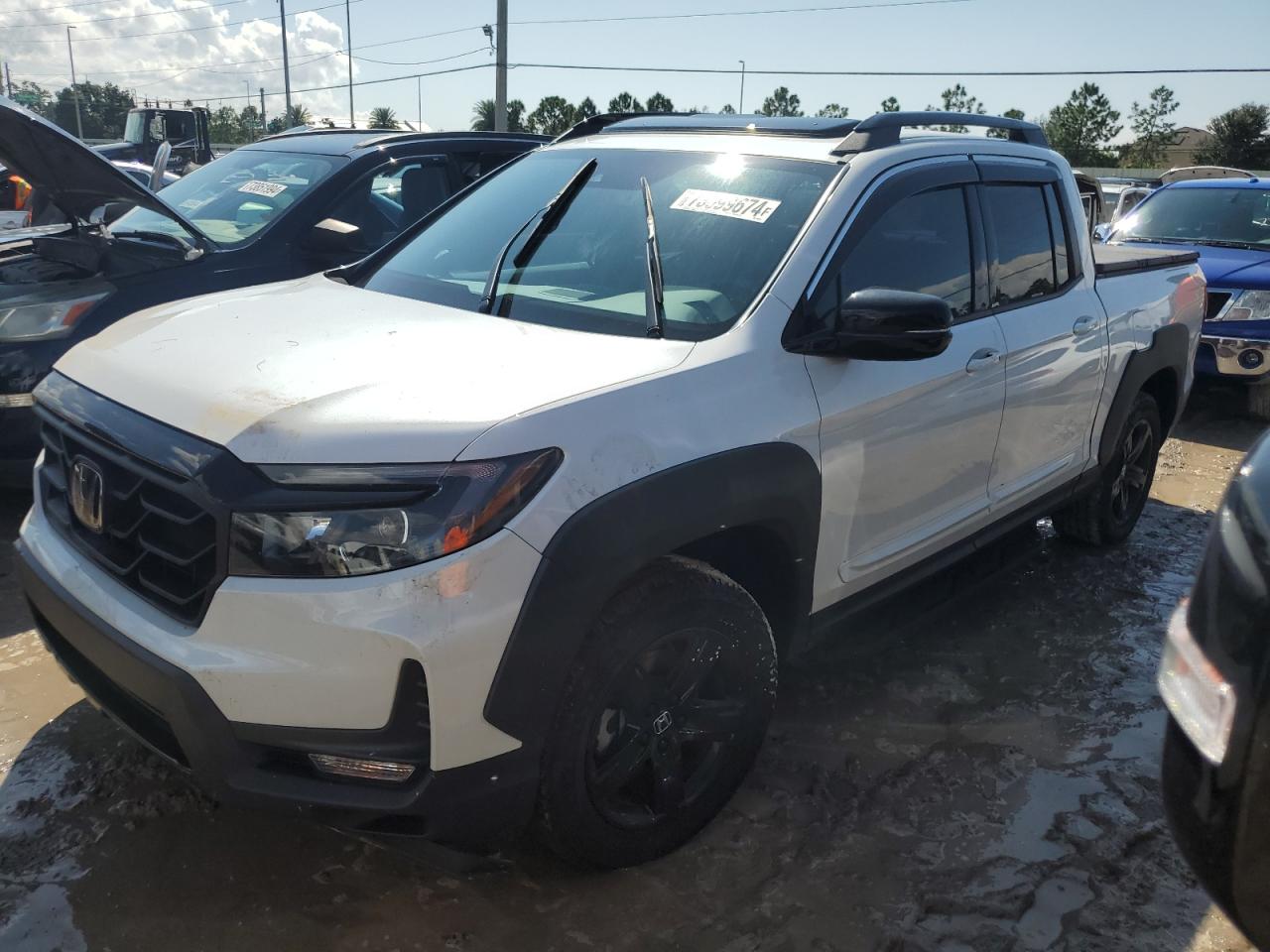 2023 HONDA RIDGELINE BLACK EDITION VIN:5FPYK3F83PB056416