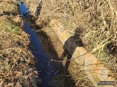 2016 Genesis G70 VIN: