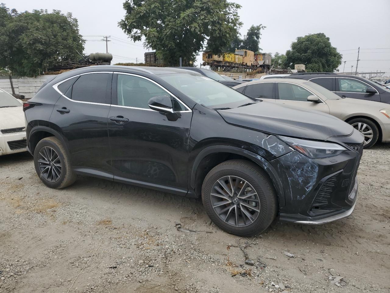 2024 LEXUS NX 250 BASE VIN:2T2ADCAZXRC013196