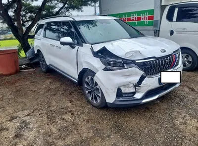 2021 Kia Carnival KNANE81BBMS073819 VIN:KNANE81BBMS073819
