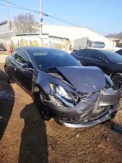 2020 Tesla Model 3 5YJ3E1EBXLF768864 VIN:5YJ3E1EBXLF768864