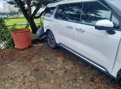2021 Kia Carnival KNANE81BBMS073819 VIN:KNANE81BBMS073819