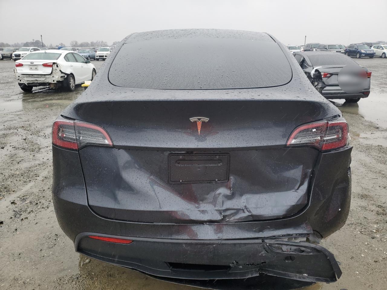 2024 TESLA MODEL Y  VIN:7SAYGDEDXRF055185