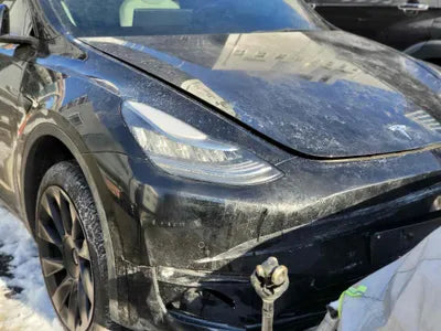2021 Tesla Model Y 5YJYGDEE7MF171586 VIN:5YJYGDEE7MF171586