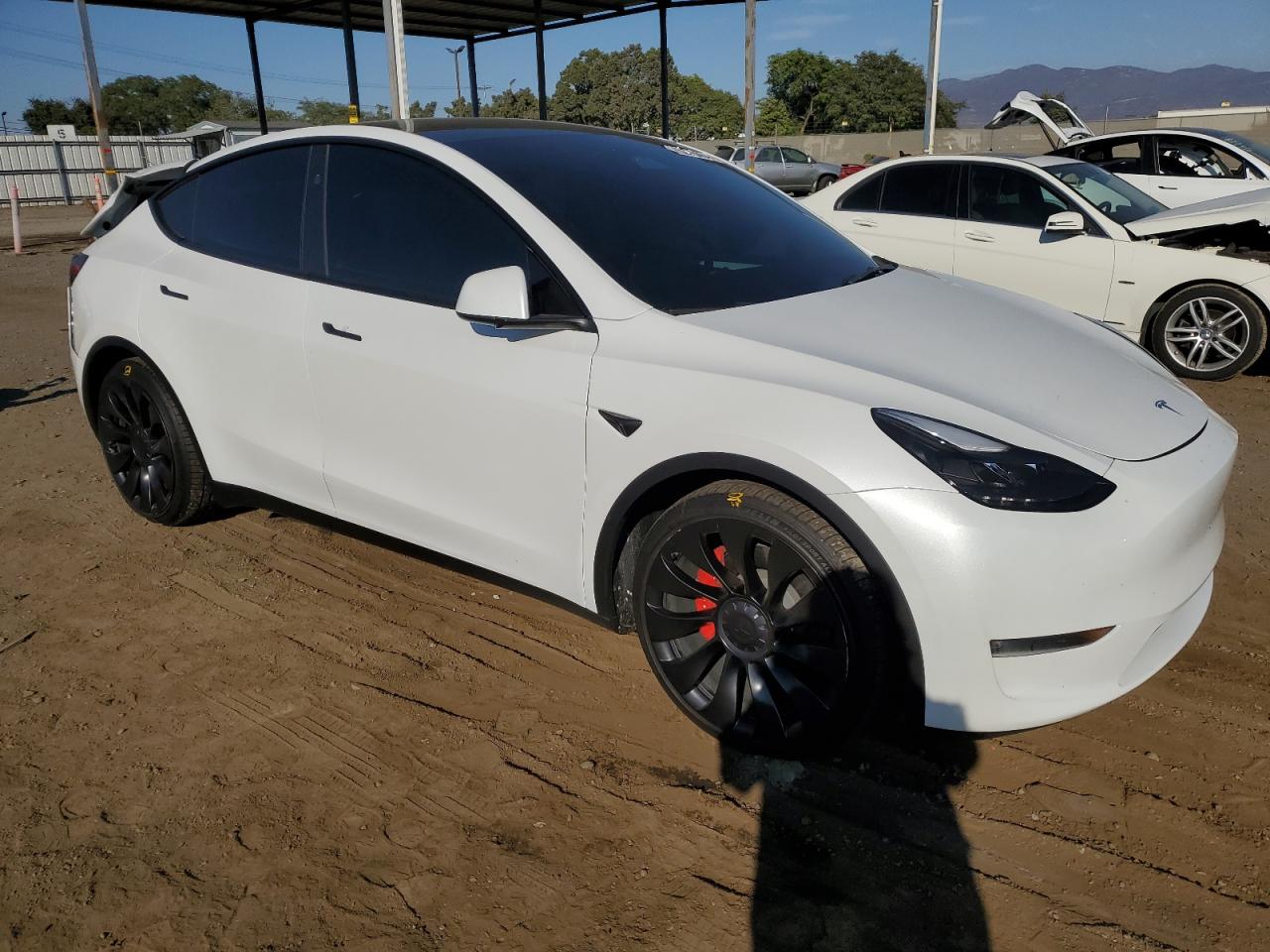 2023 TESLA MODEL Y  VIN:7SAYGDEF7PF823414