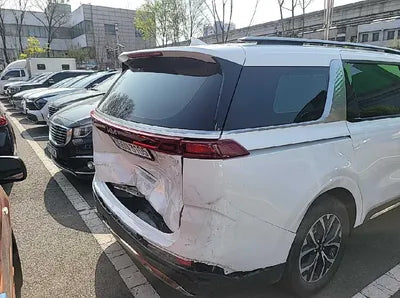 2022 Kia Carnival KNANE81BBNS166263 VIN:KNANE81BBNS166263
