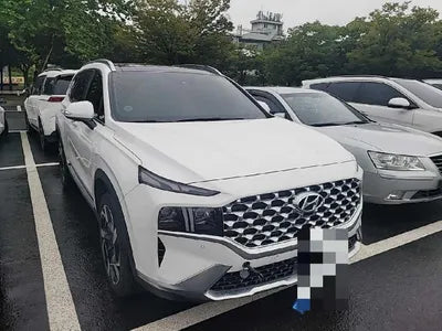 2021 Hyundai Santa FE KMHS381HGMU309772 VIN:KMHS381HGMU309772