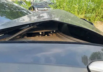2021 Tesla Model 3 5YJ3E1EBXMF947195 VIN:5YJ3E1EBXMF947195