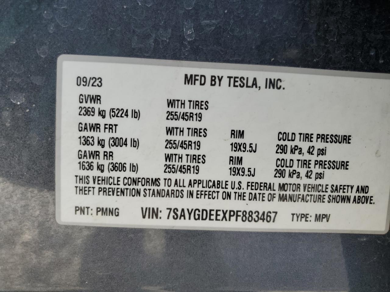 2023 TESLA MODEL Y  VIN:7SAYGDEEXPF883467