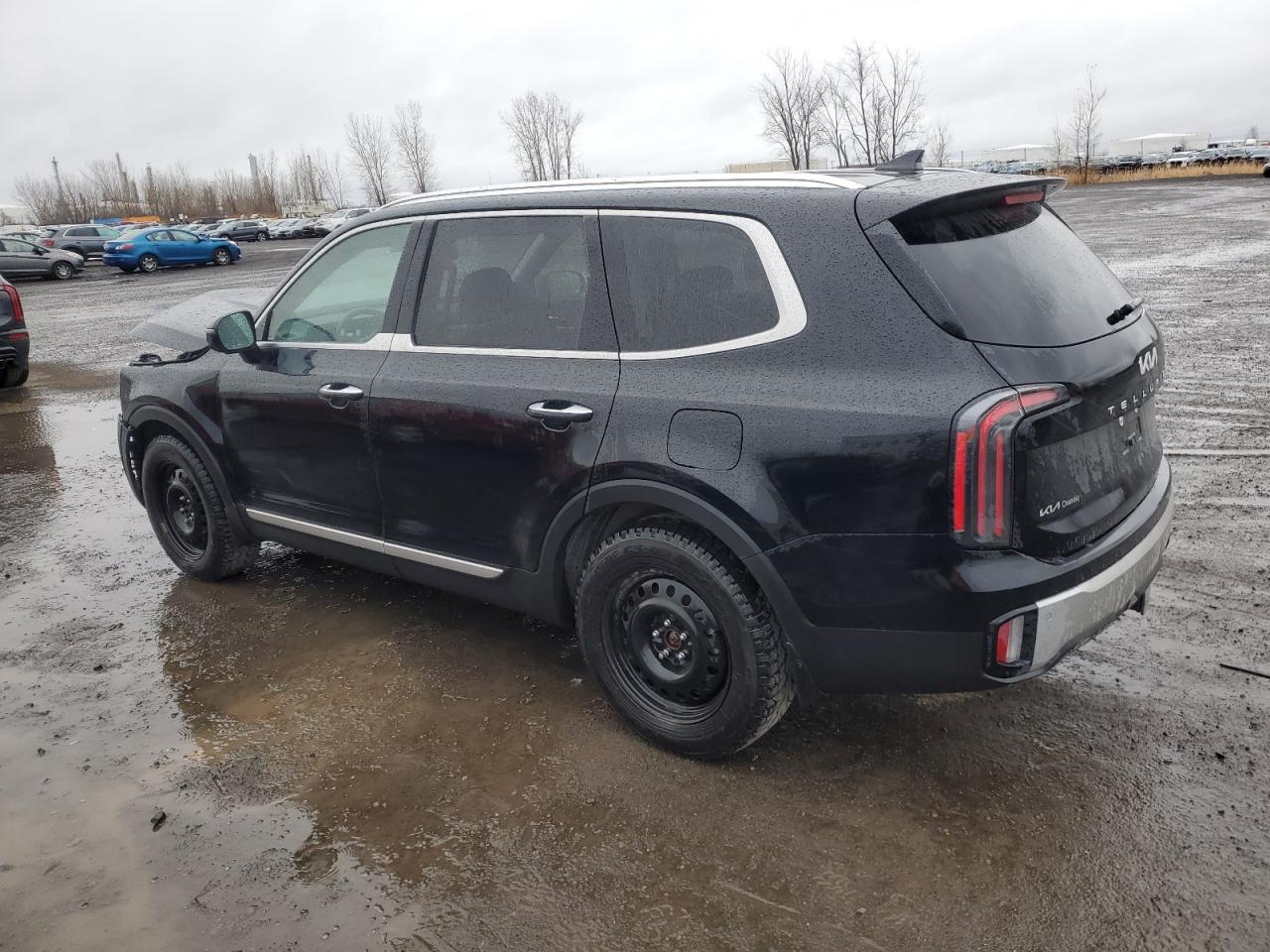 2024 KIA TELLURIDE SX VIN:5XYP5DGC5RG482978