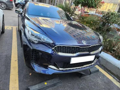 2018 Kia Stinger KNAE651BDKS042401 VIN:KNAE651BDKS042401