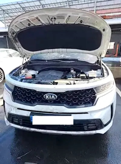 2021 Kia Sorento KNARF81BGMA104013 VIN:KNARF81BGMA104013