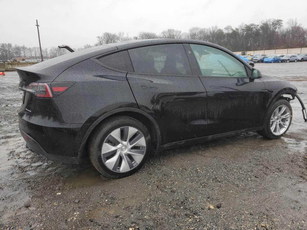 2023 TESLA MODEL Y VIN:7SAYGDEE1PA151757