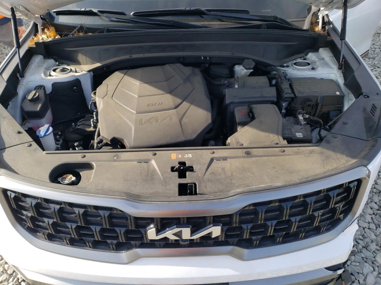 2023 KIA TELLURIDE SX VIN:5XYP5DGC9PG333549