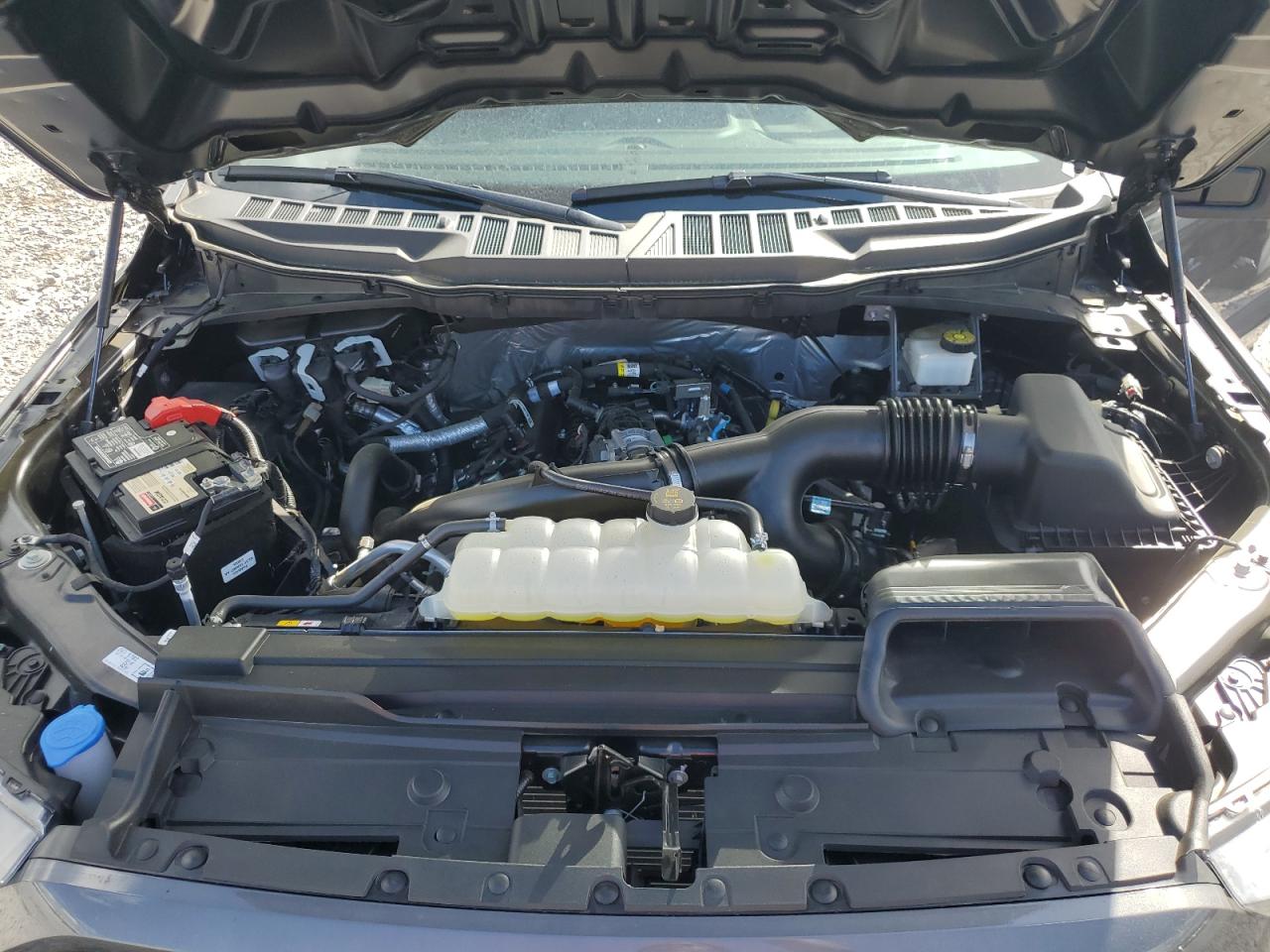 2023 FORD F150 SUPER CAB VIN:1FTEX1CP9PKF48612