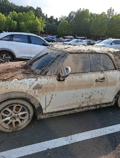 2019 MINI Cooper WMWWG5105K3F53617 VIN:WMWWG5105K3F53617
