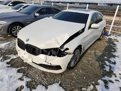 2019 BMW 520 WBAJK7108KGL29042 VIN:WBAJK7108KGL29042