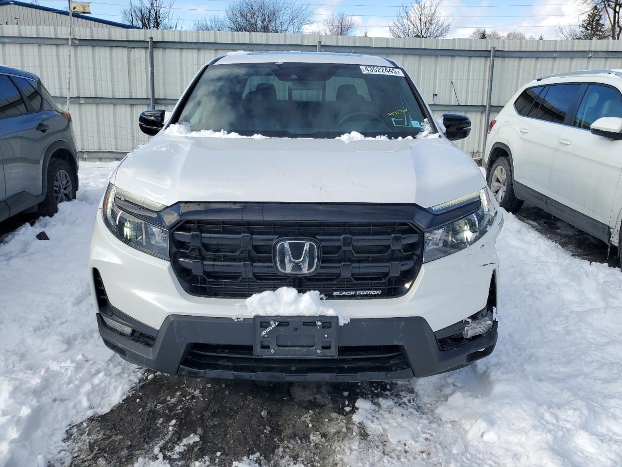 2024 HONDA RIDGELINE BLACK EDITION VIN:5FPYK3F83RB001368