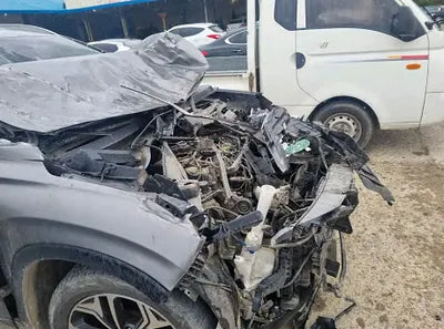 2019 Hyundai Santa FE KMHS381CBKU017002 VIN:KMHS381CBKU017002