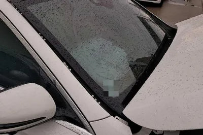 2019 Mercedes-Benz E 300 WDDZF4JB6KA633330 VIN:WDDZF4JB6KA633330