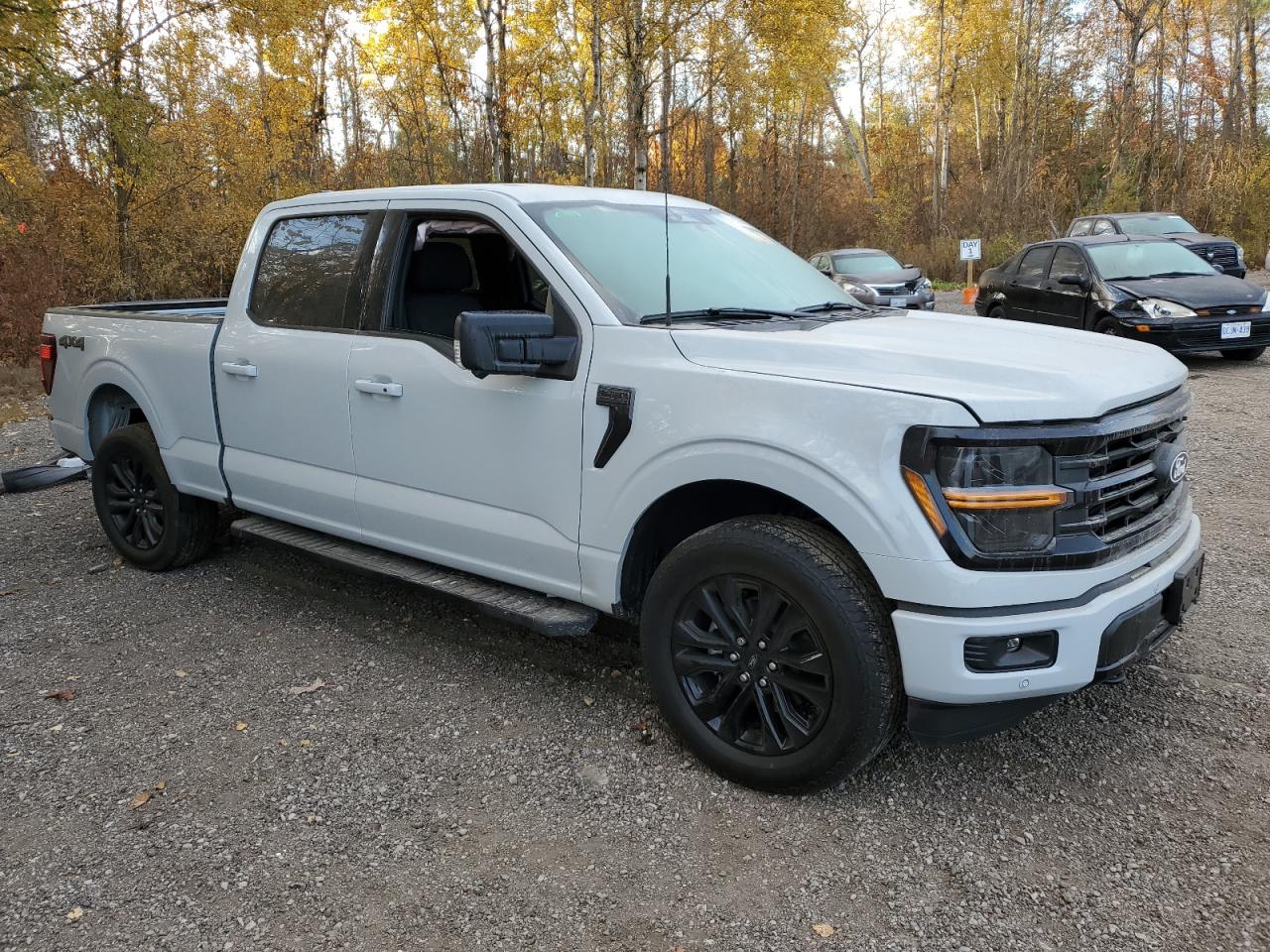 2024 FORD F150 XLT VIN:1FTFW3L82RFB46048